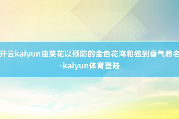 开云kaiyun油菜花以预防的金色花海和独到香气着名-kaiyun体育登陆