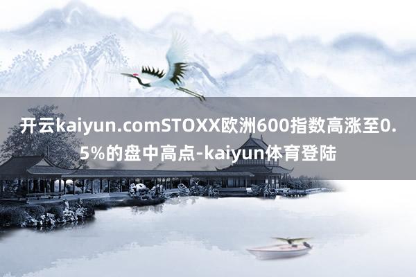 开云kaiyun.comSTOXX欧洲600指数高涨至0.5%的盘中高点-kaiyun体育登陆